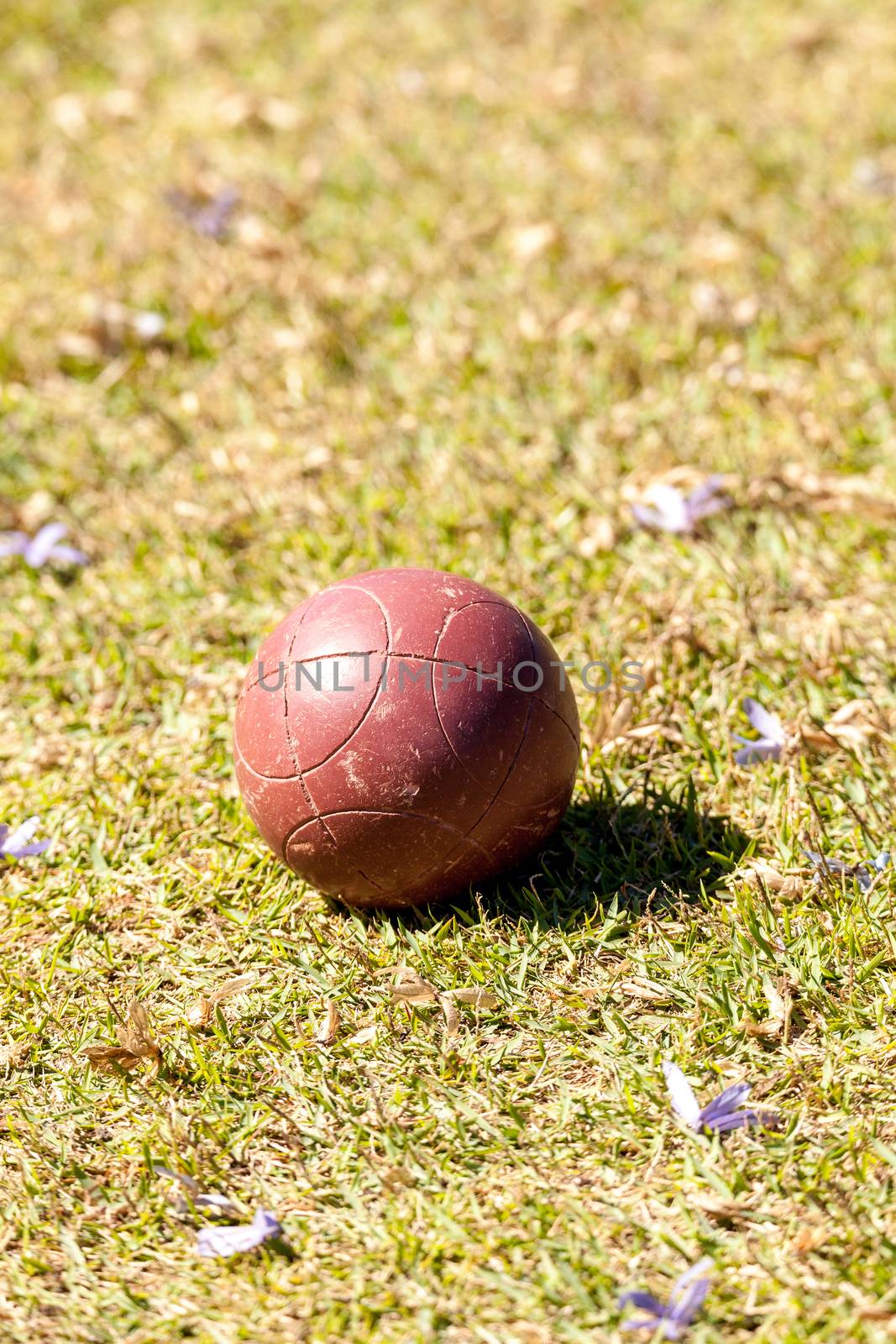 Bocce ball on the green grass of an open field ready for sport in Naples, Florida