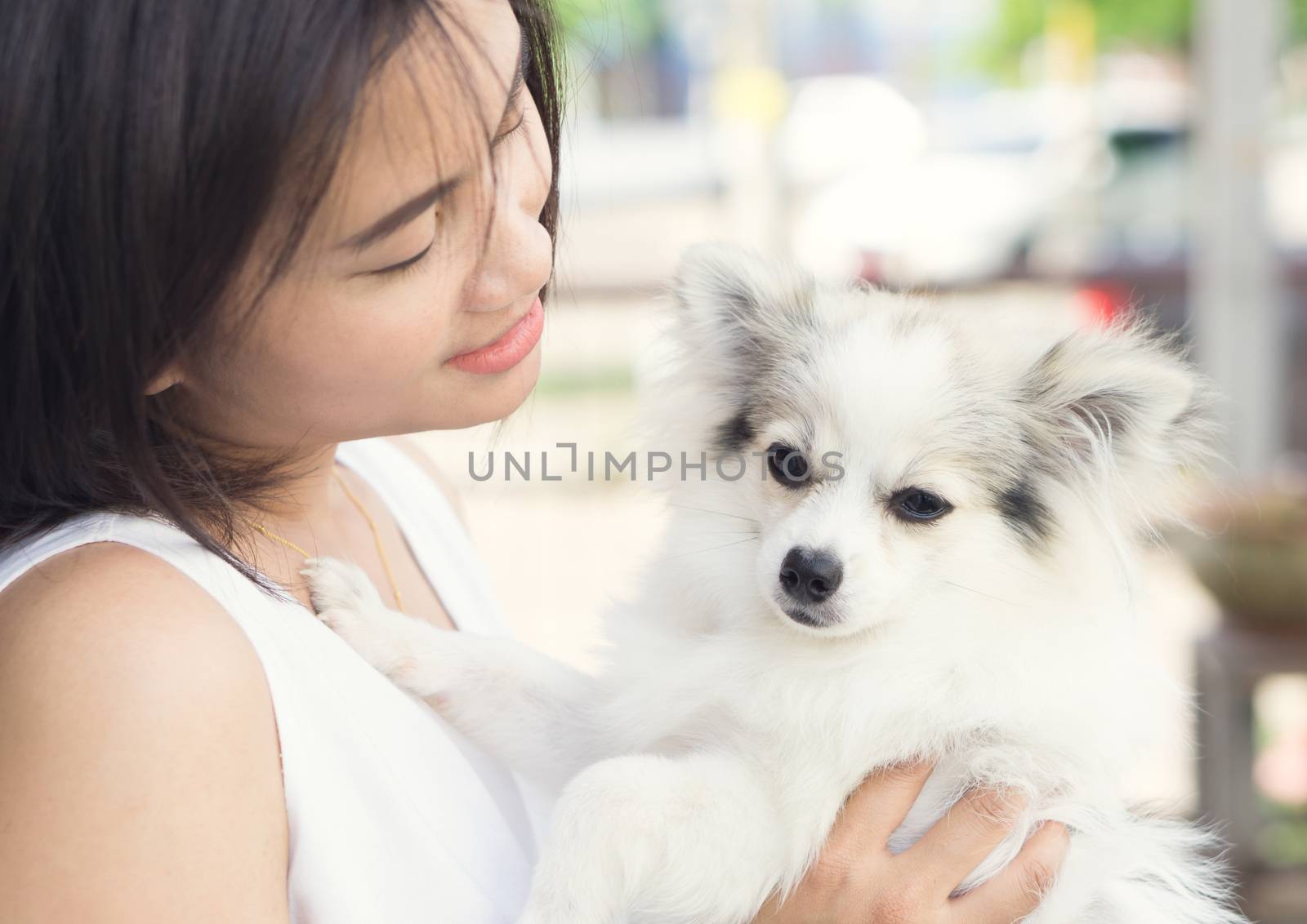 Closeup happy woman with white pomeranian dog on hand, pet health care concept with soft and selective focus