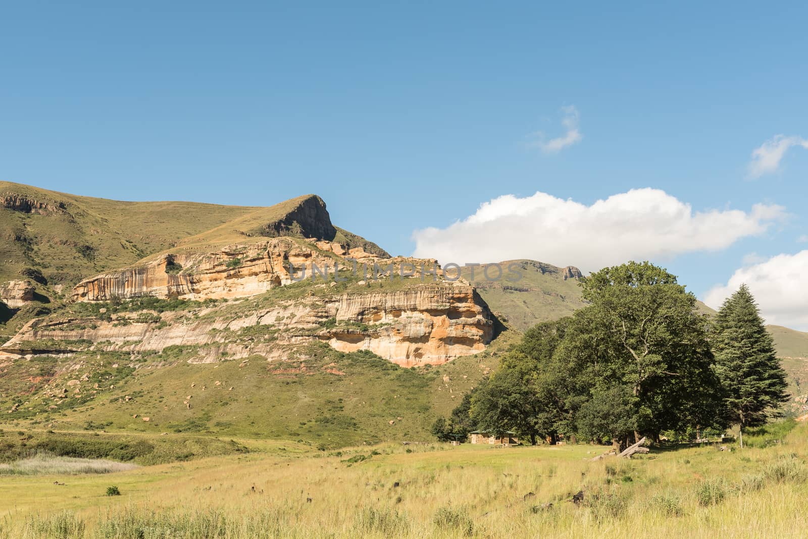 A shaded picnic area at Golden Gate in the Free State Province of South Africa