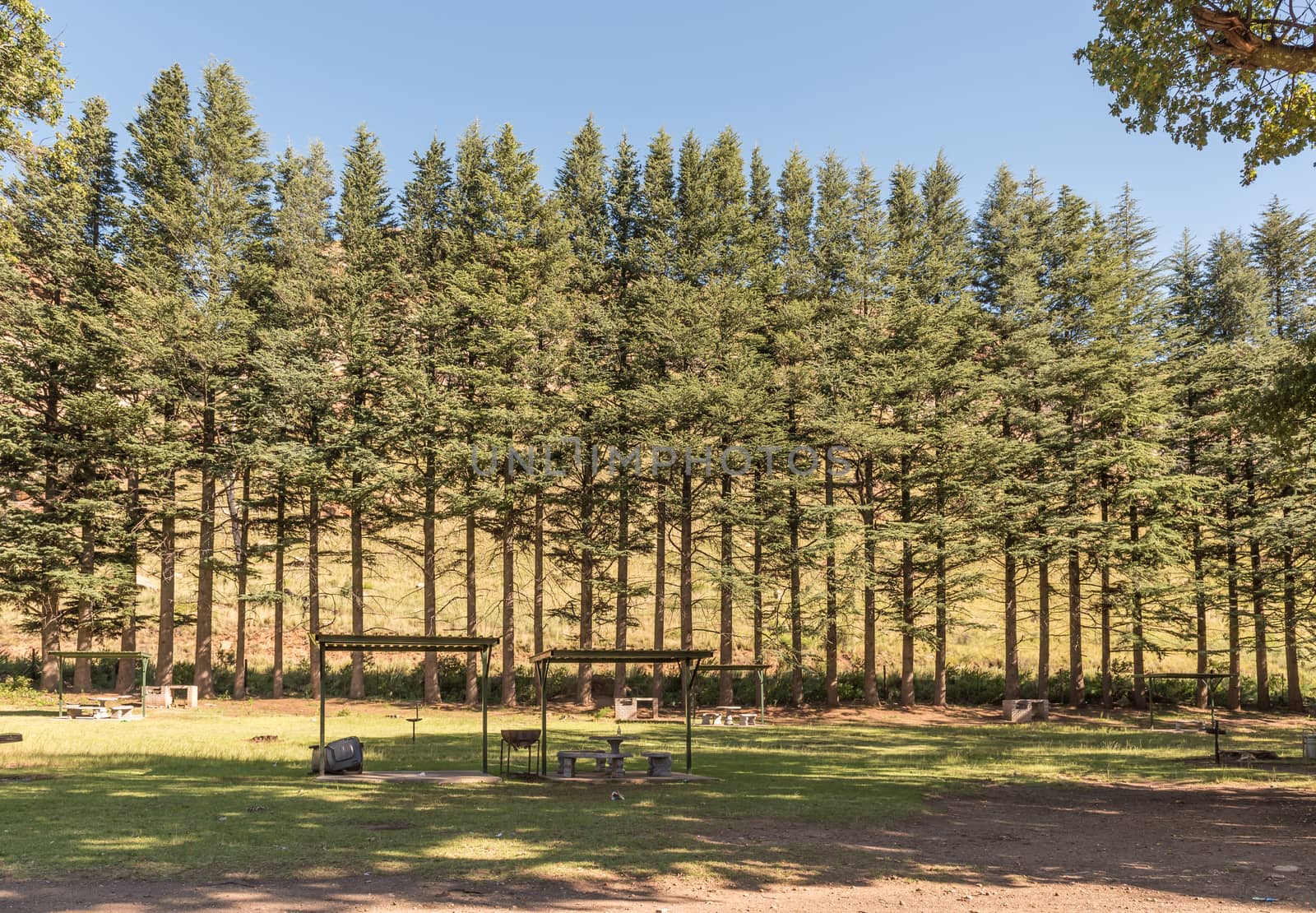 A shaded picnic area at Golden Gate in the Free State Province of South Africa