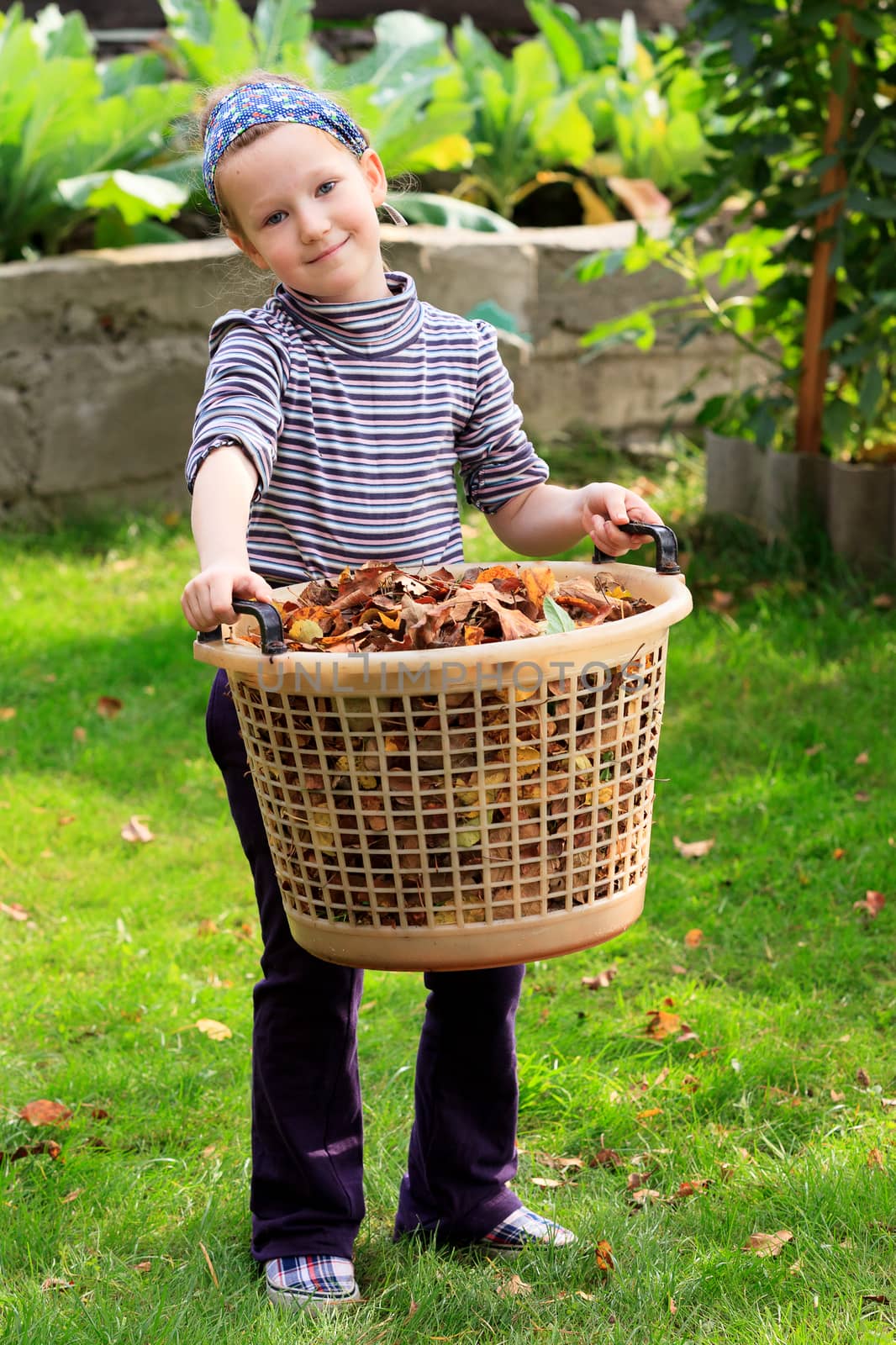 Cute little girl with the big plastic basket full of leaves by Nobilior