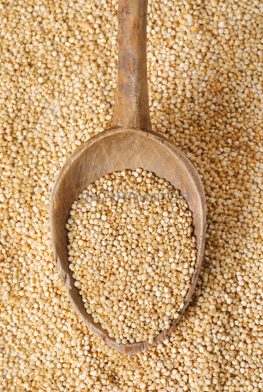 spoon of white quinoa seeds on quinoa background