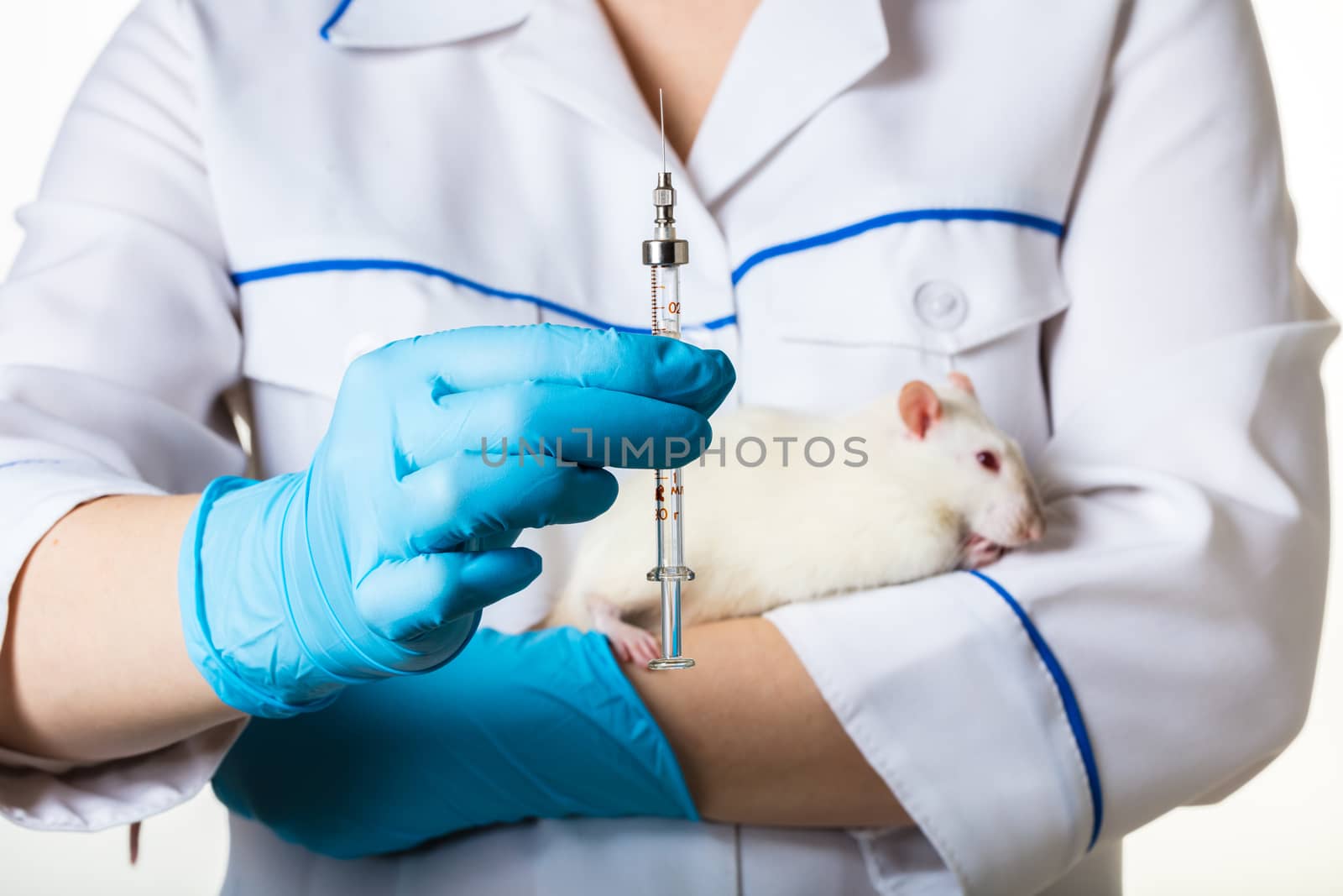 woman in uniform injects syringe to white rat