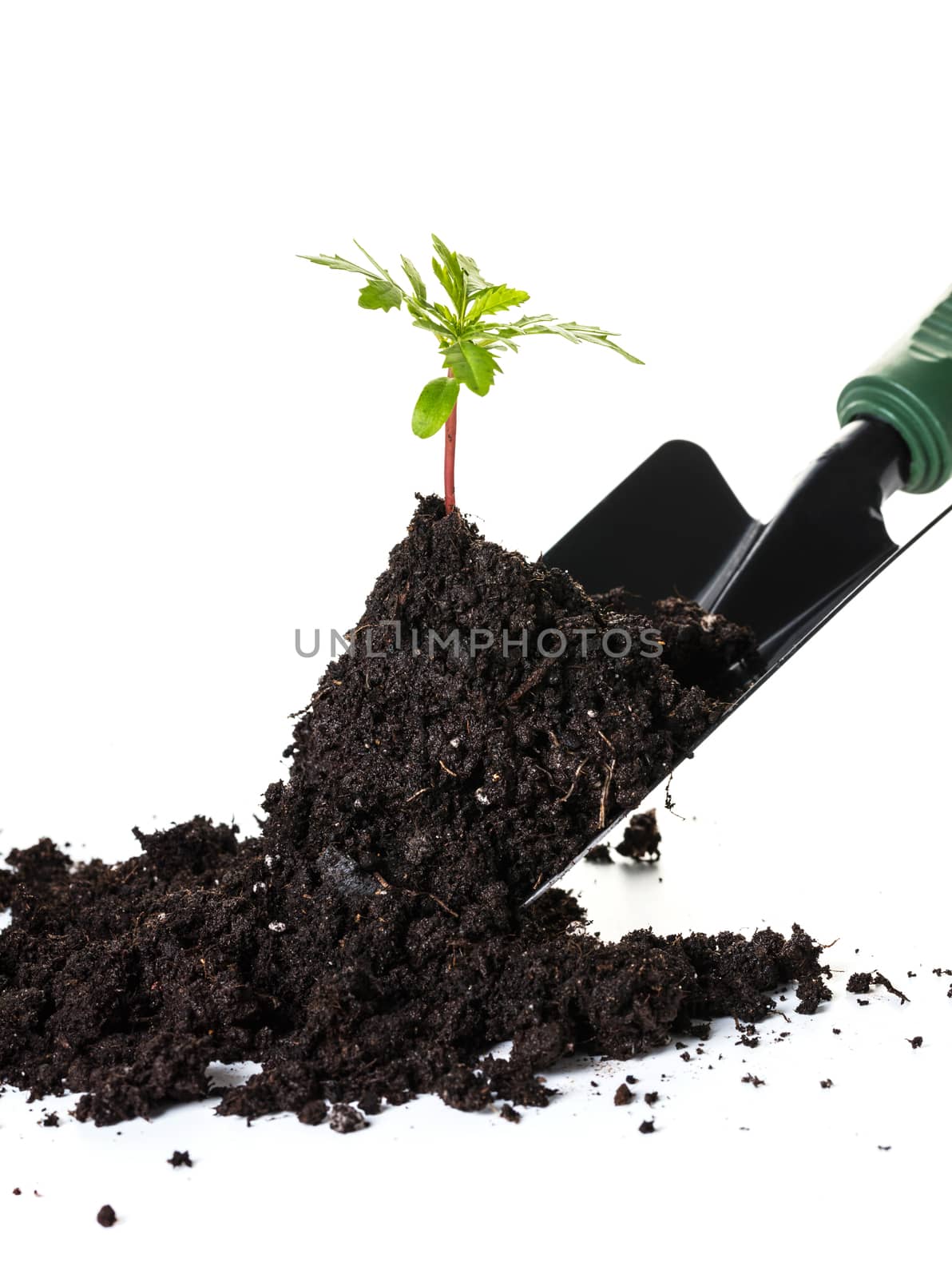 Planting a small plant on pile of soil by MegaArt