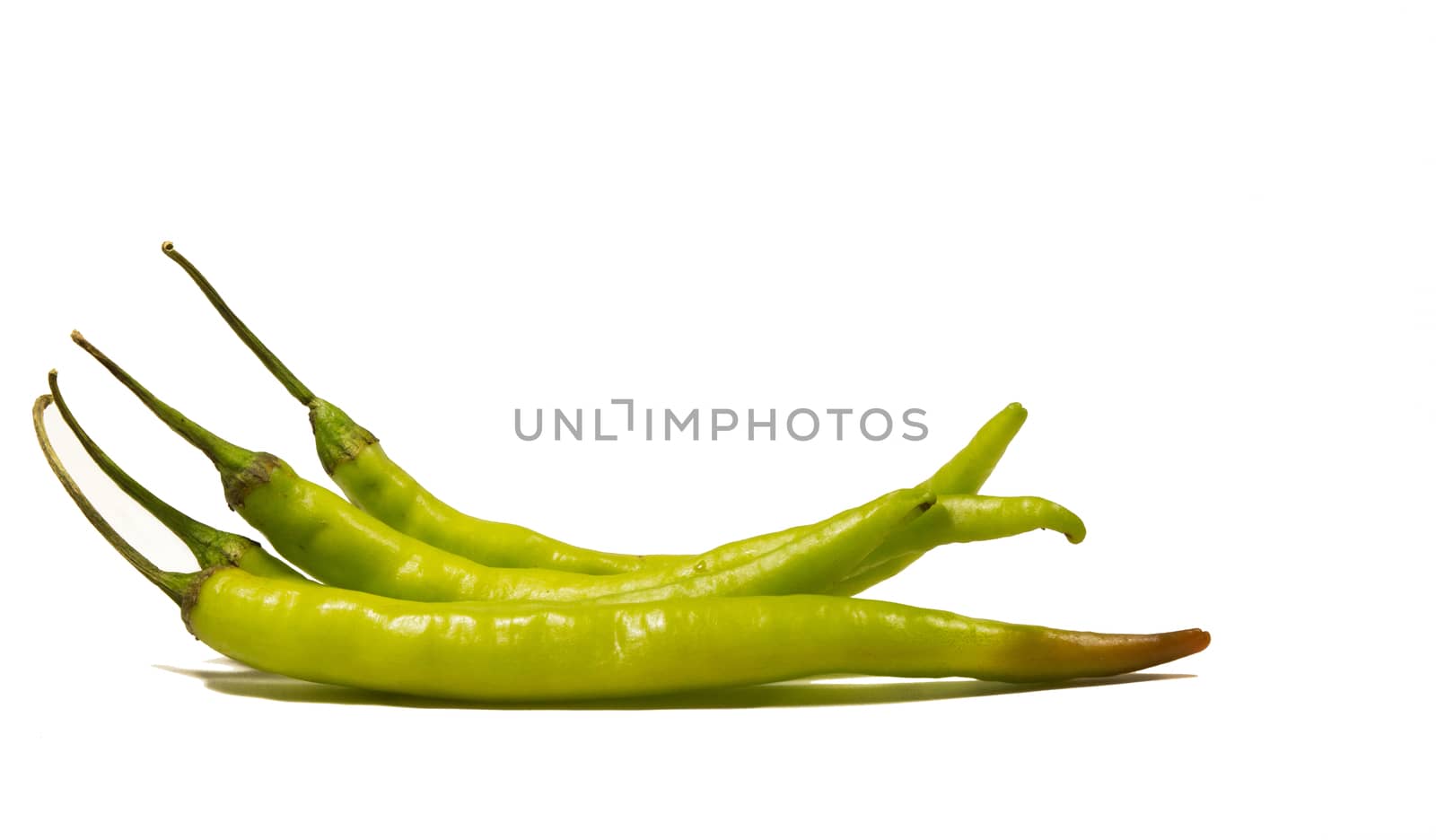 green jalapeno isolated on white background clipping path