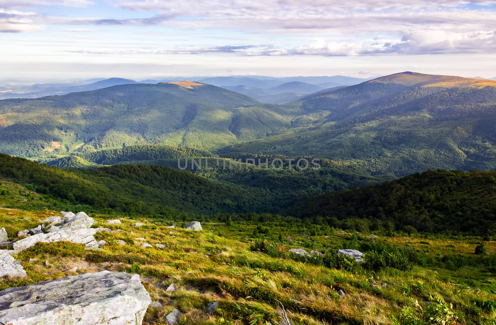 rocky formations on the grassy hills. beautiful mountainous scenery in late summer. colorful grassy carpet on the hillside. forested mountains in the distance in dappled light under cloudy sky