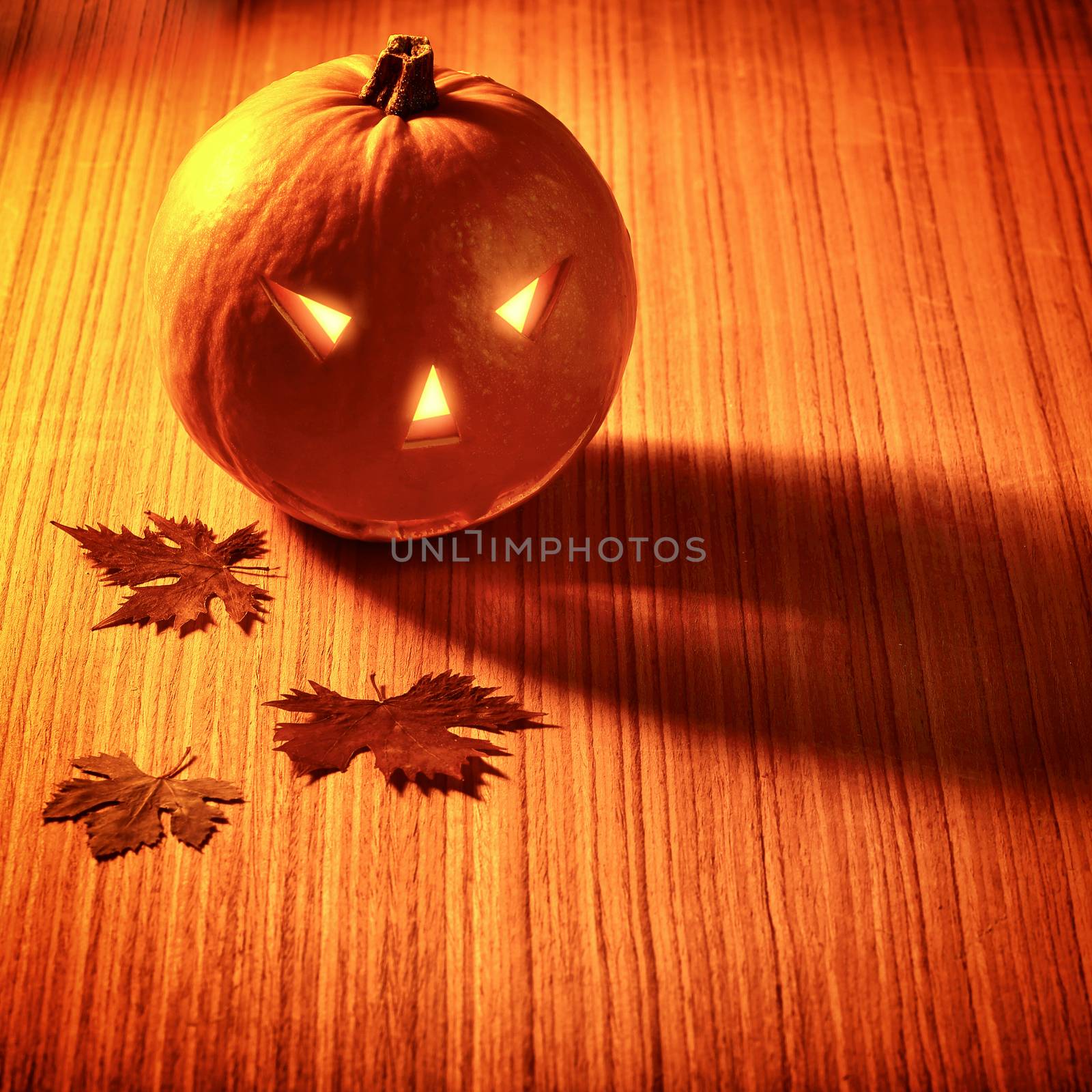 Stylish Halloween decoration by Anna_Omelchenko