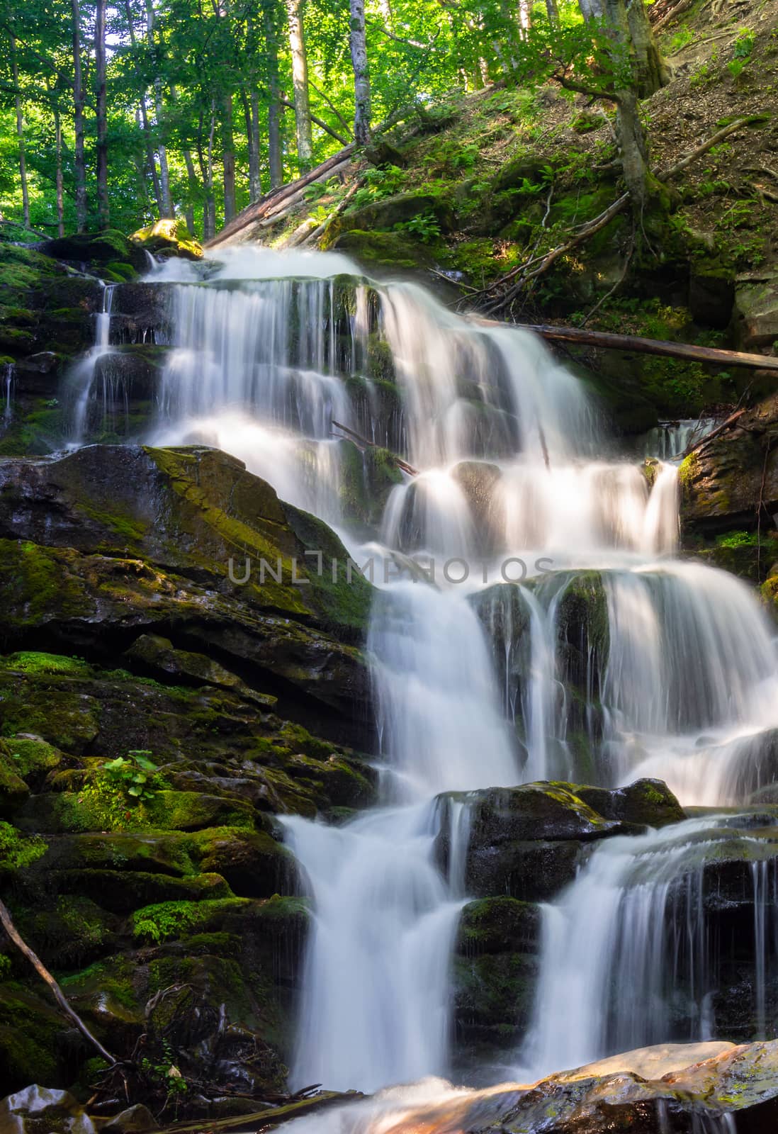 cascades of big waterfall in forest. beautiful summer scenery at sunrise. beams of light on water splashes. nature power and beauty concept