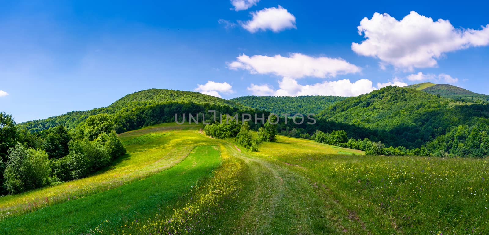 beautiful panorama of mountainous countryside by Pellinni