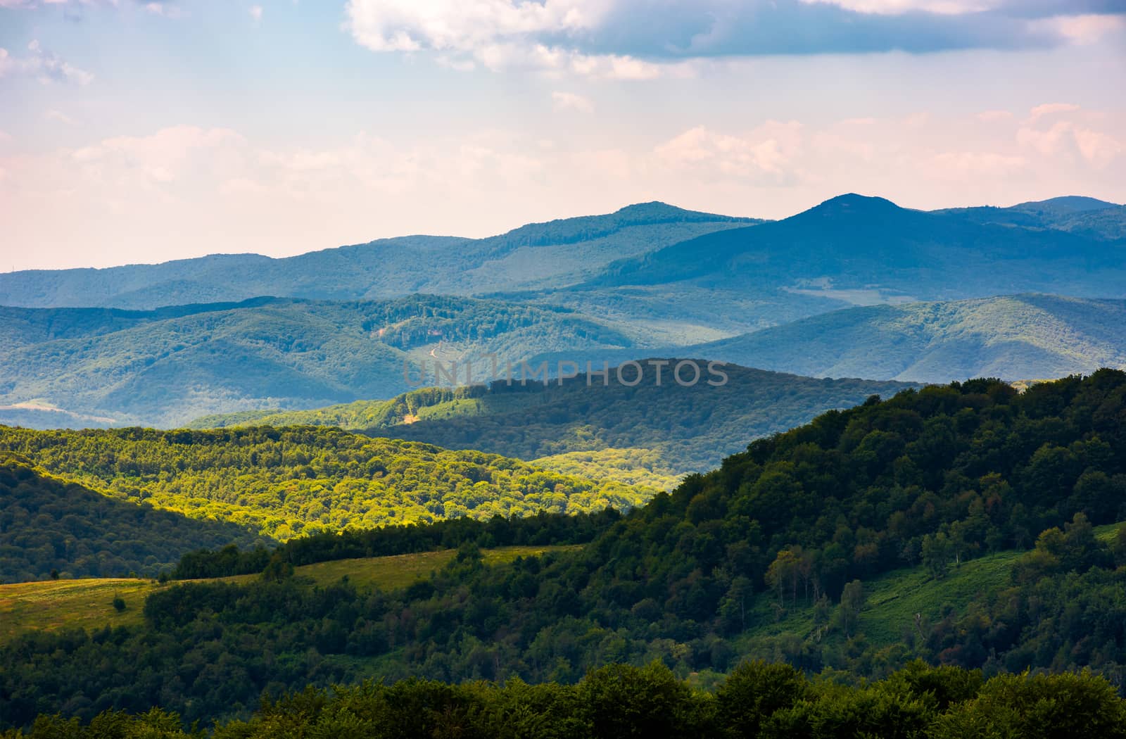 beautiful rolling hills of Carpathian mountains by Pellinni