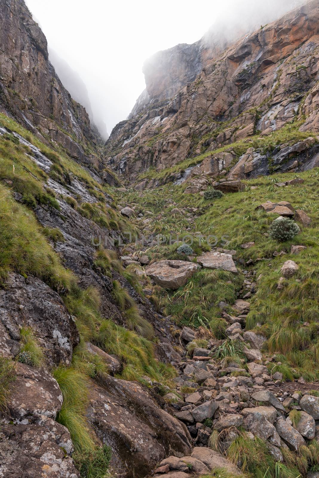 The Gully is an alternative route, in place of the chain ladders to the top of the Amphitheater on the Sentinel Trail to the Tugela Falls in the Drakensberg
