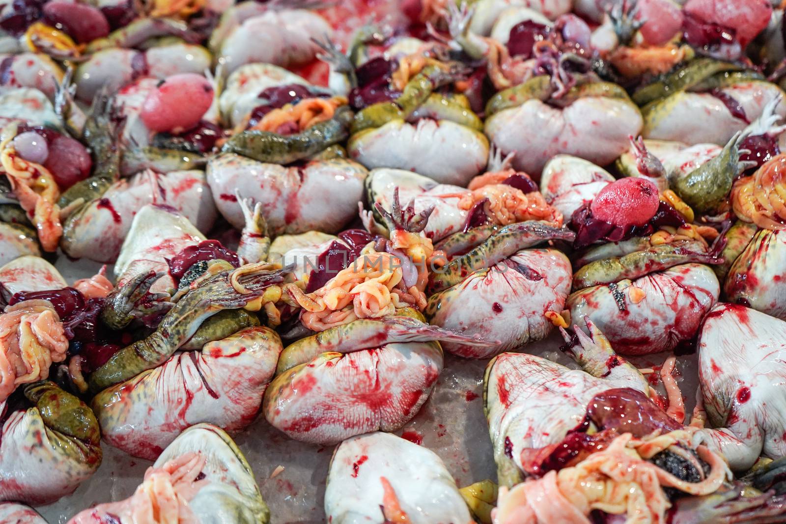 Prepare of raw frog on shelf of fresh market in Thailand