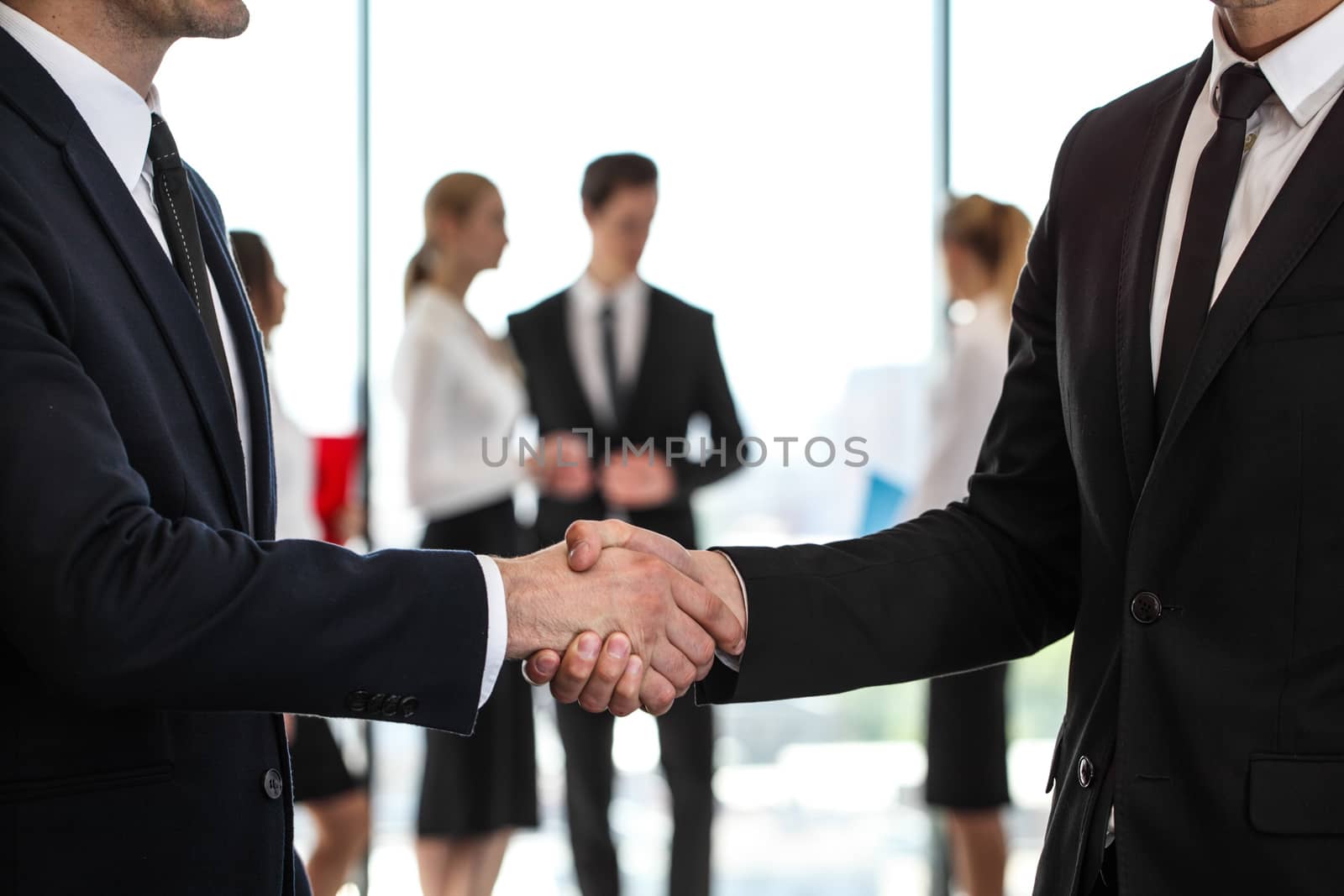 Business handshake at meeting, team of people on background