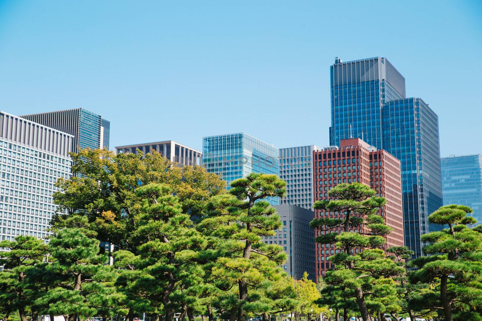 Tokyo modern building under blue sky by cozyta