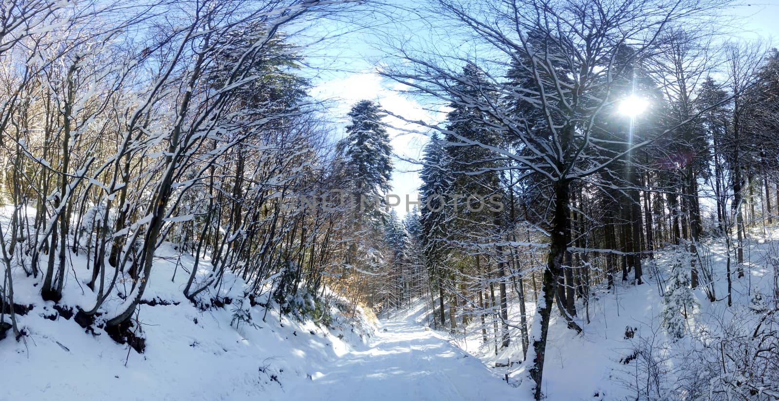 Panoramic view of a mountain roud on winter