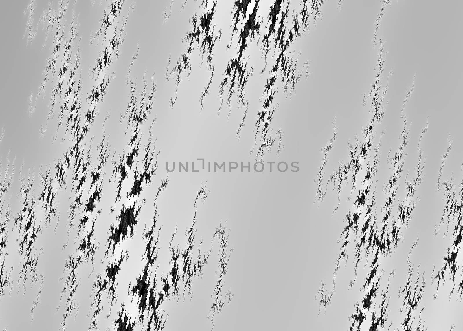 Marble Fractal Background with Black Ornaments on Silver Background - Abstract Illustration, Image