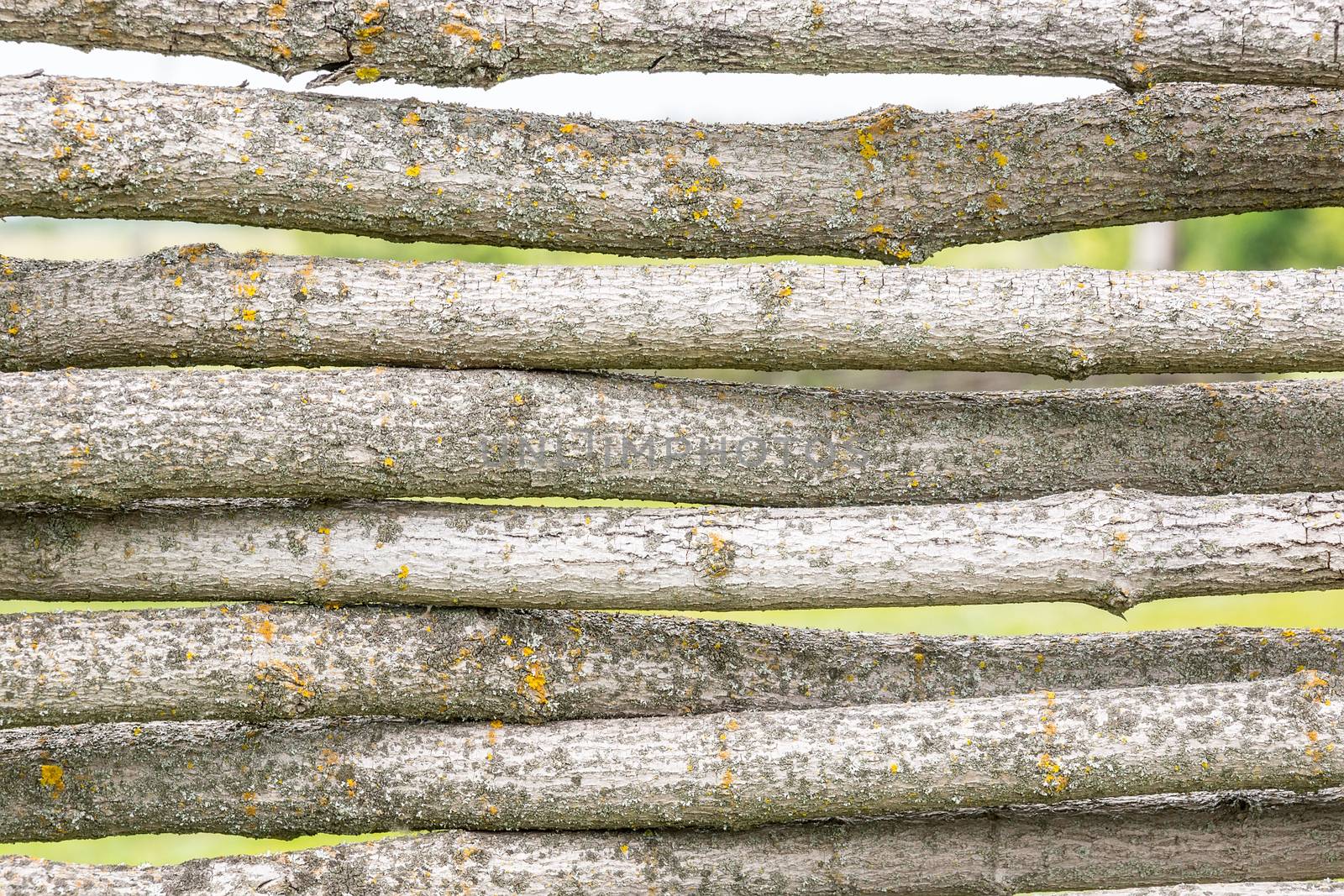 Fence of logs by AlexBush