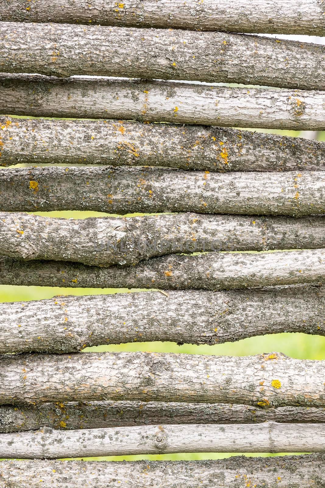 Fence of logs by AlexBush