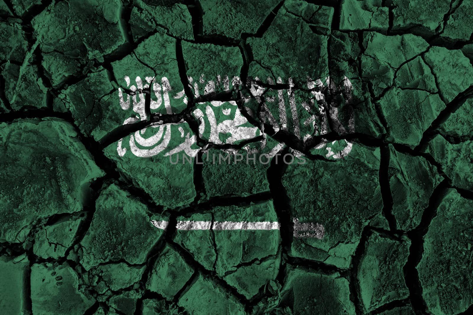 Saudi Arabia flag painting on high detail cracked ground . 3D illustration .