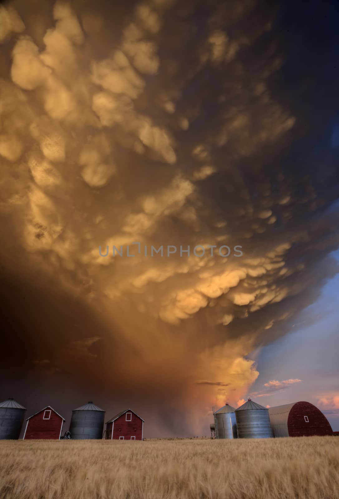 Storm Mammatus Clouds Canada by pictureguy