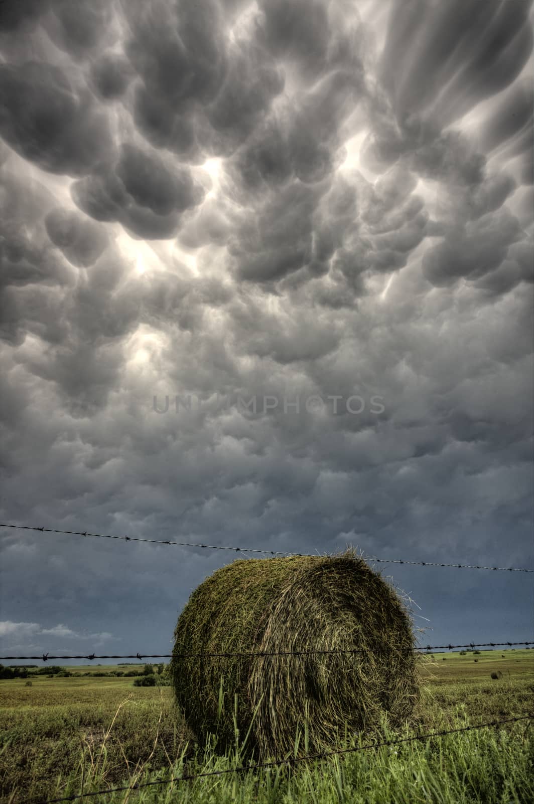 Storm Mammatus Clouds Canada by pictureguy