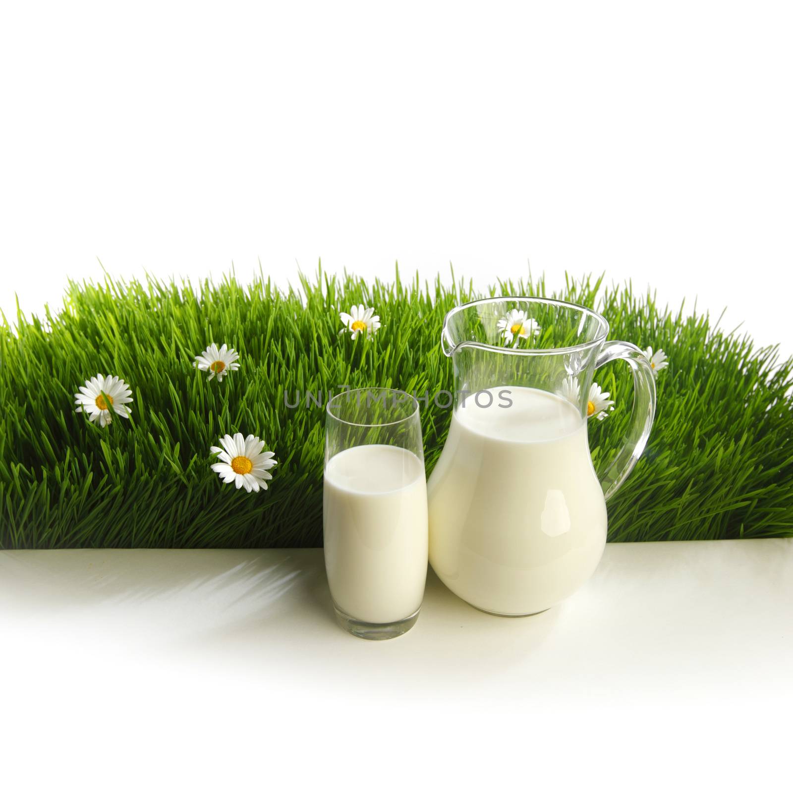 Glass of milk and jar on fresh grass meadow with chamomiles