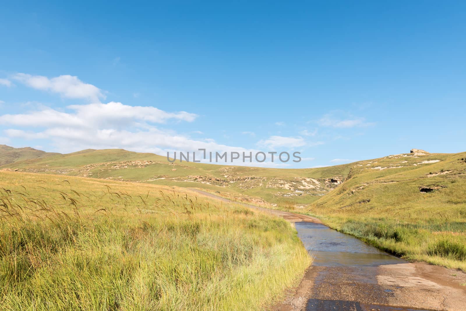 The road to Langtoon dam at Golden Gate in the Free State Province of South Africa