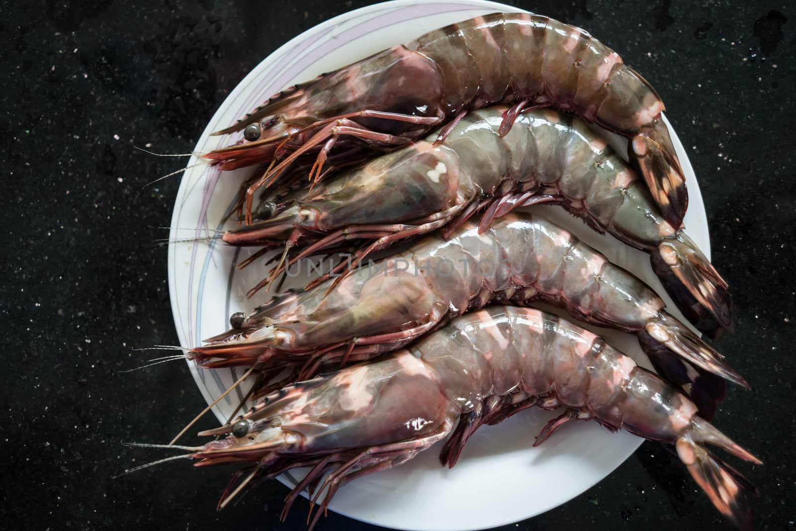 Four large king prawns on a white plate.