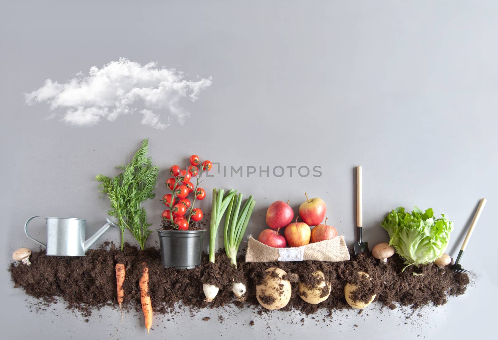 Fruits and vegetables growing in compost including carrots, mushrooms, potatoes and lettuce