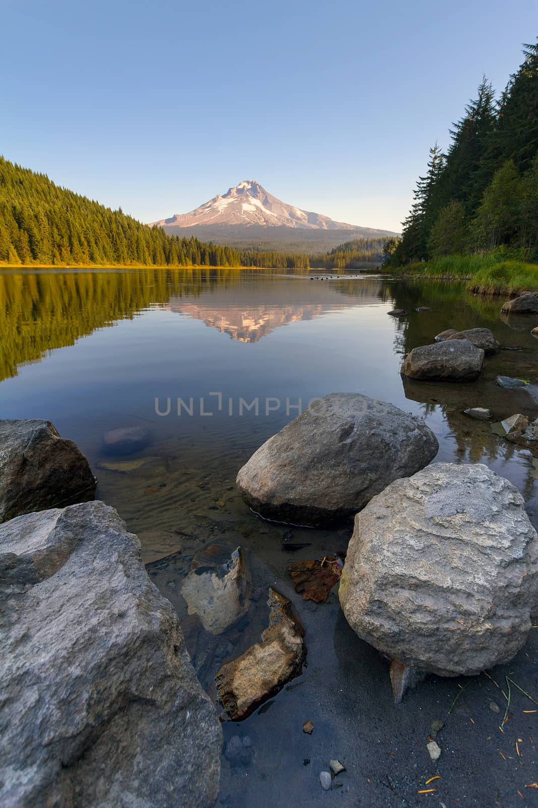 Reflection of Mount Hood on Trillium Lake on a clear blue sky day