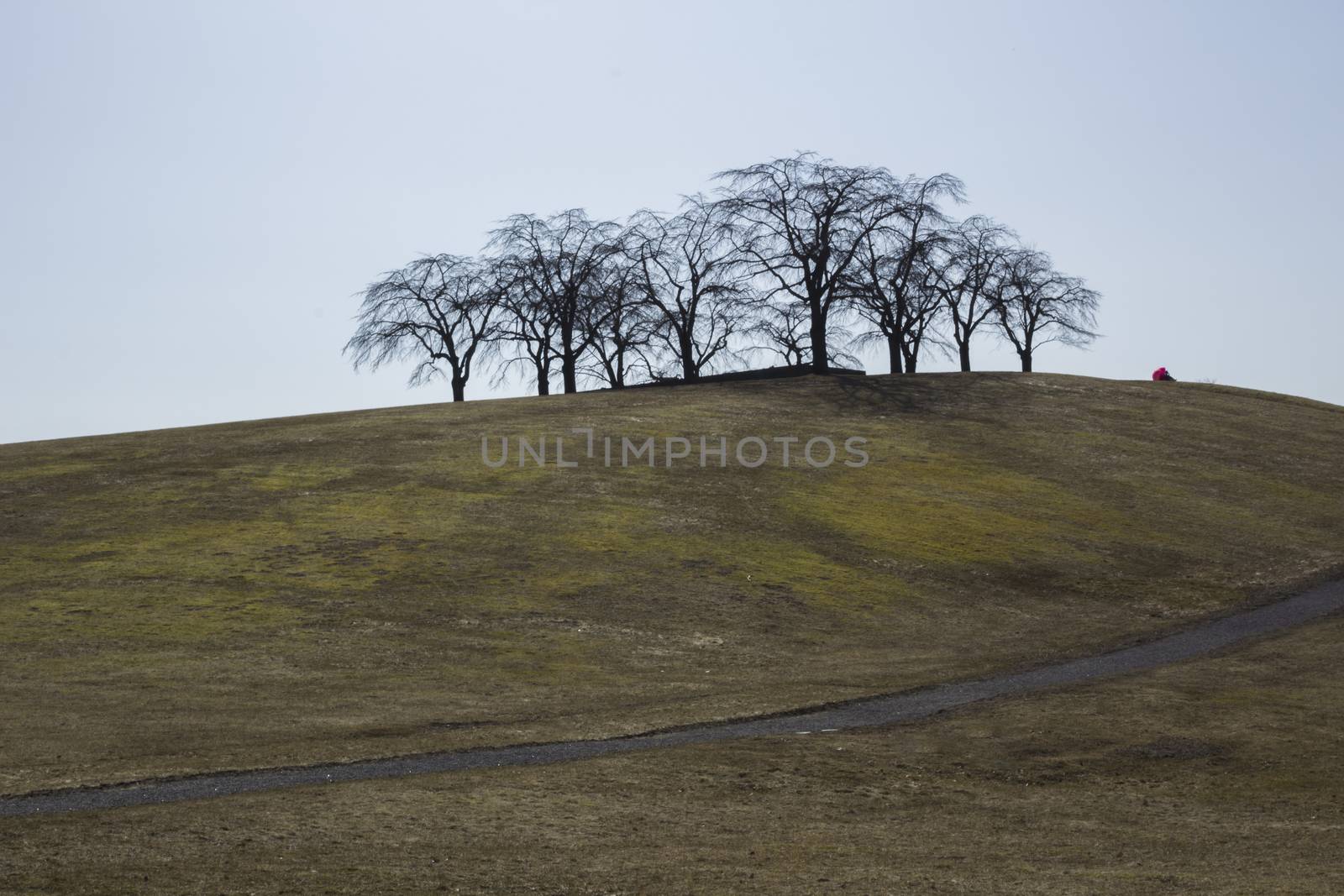 Green hills, springtime in Sweden. Person uses pink umbrella as protection from the sun, on top of t he hill.