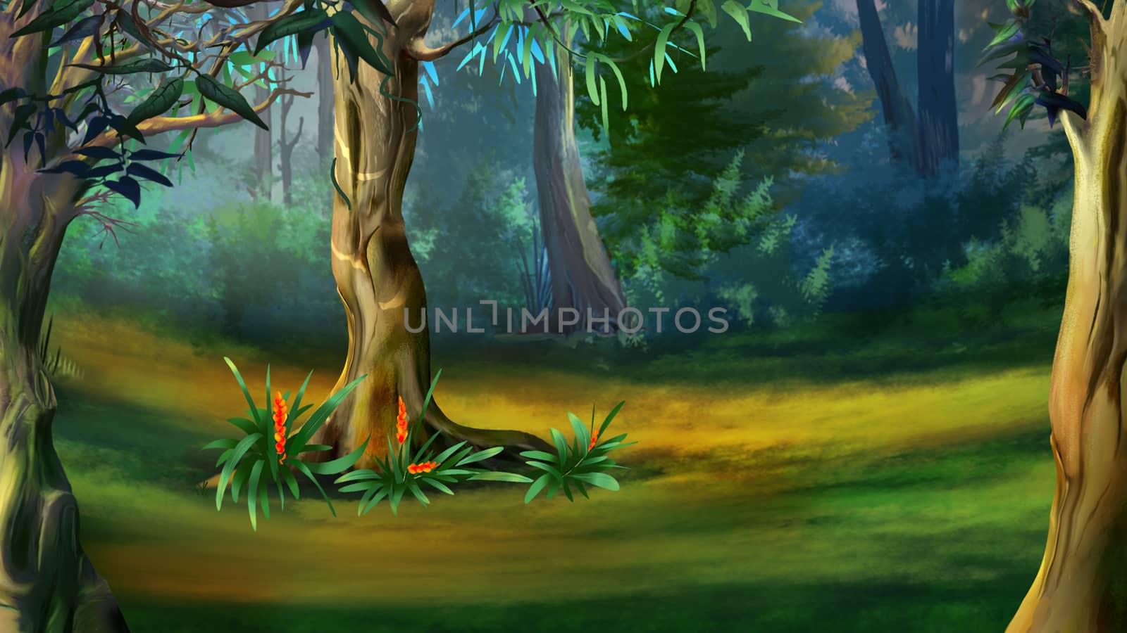 Tree in a Dense Forest in a Summer Day by Multipedia