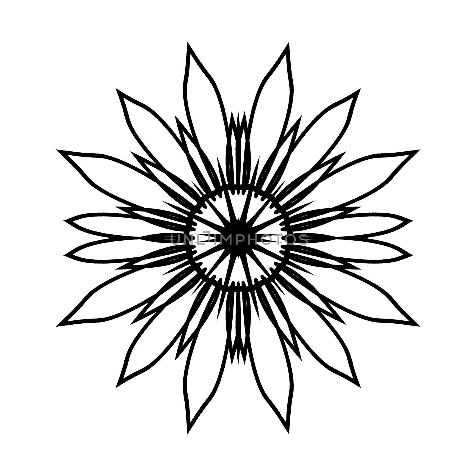 Digital compurer graphic - drcorative outline flower for design. The Author - Peshkareva Irina