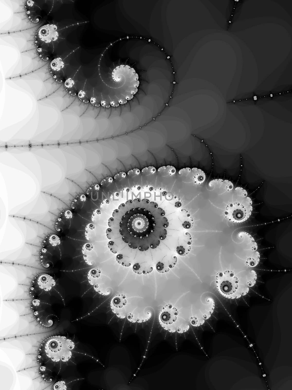 Digital computer graphic - abstract Astroniras  fractal pattern with spiral in a black and white colors for design.