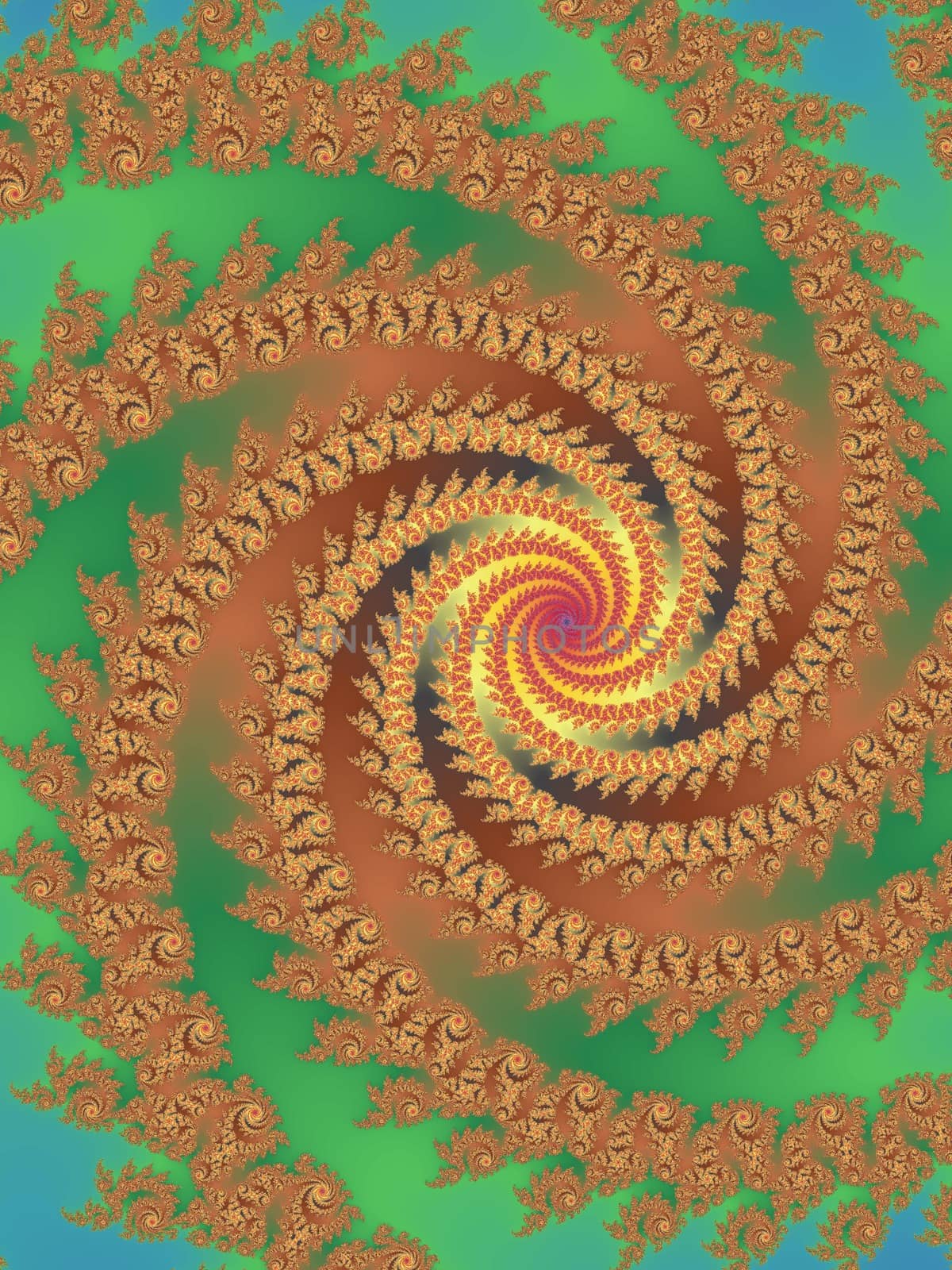 Digital computer graphic - abstract Astroniras decorative fractal wwith spirals in a bright colors for design.