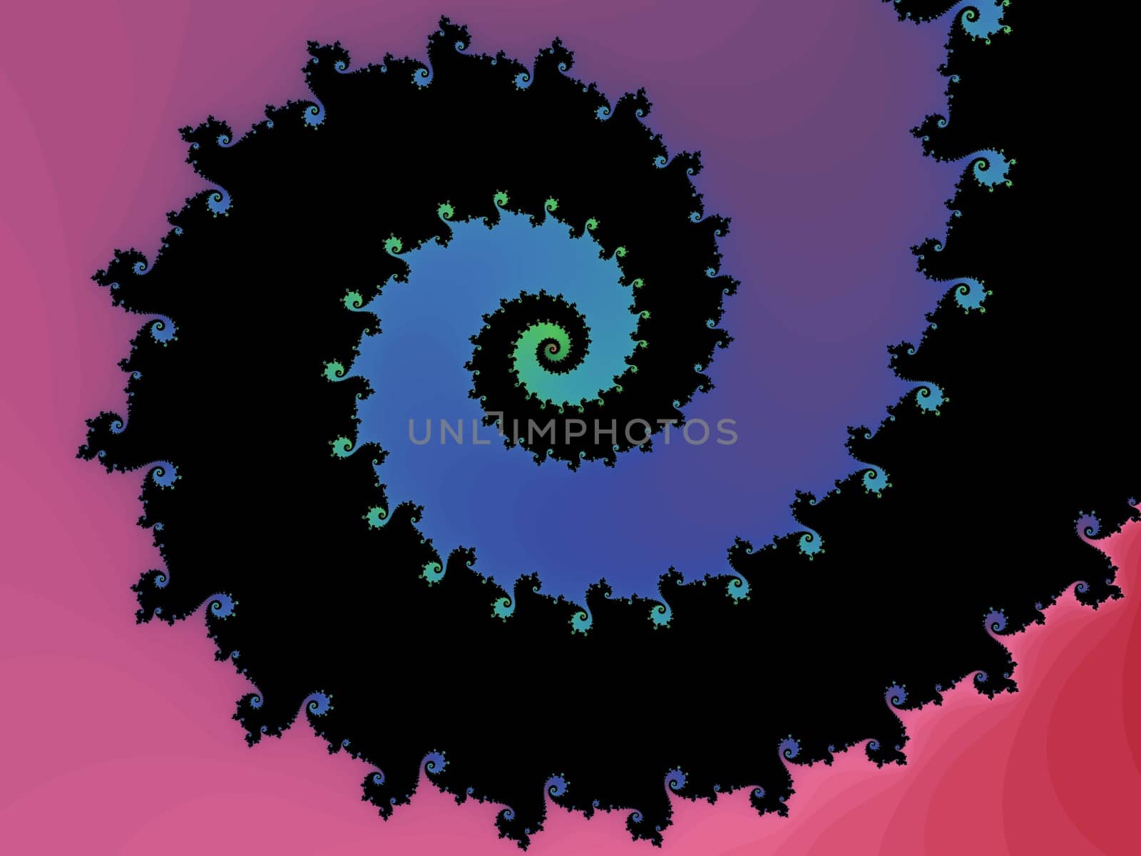 Digital computer graphic - abstract decorative fractal wwith spirals in a bright colors for design.