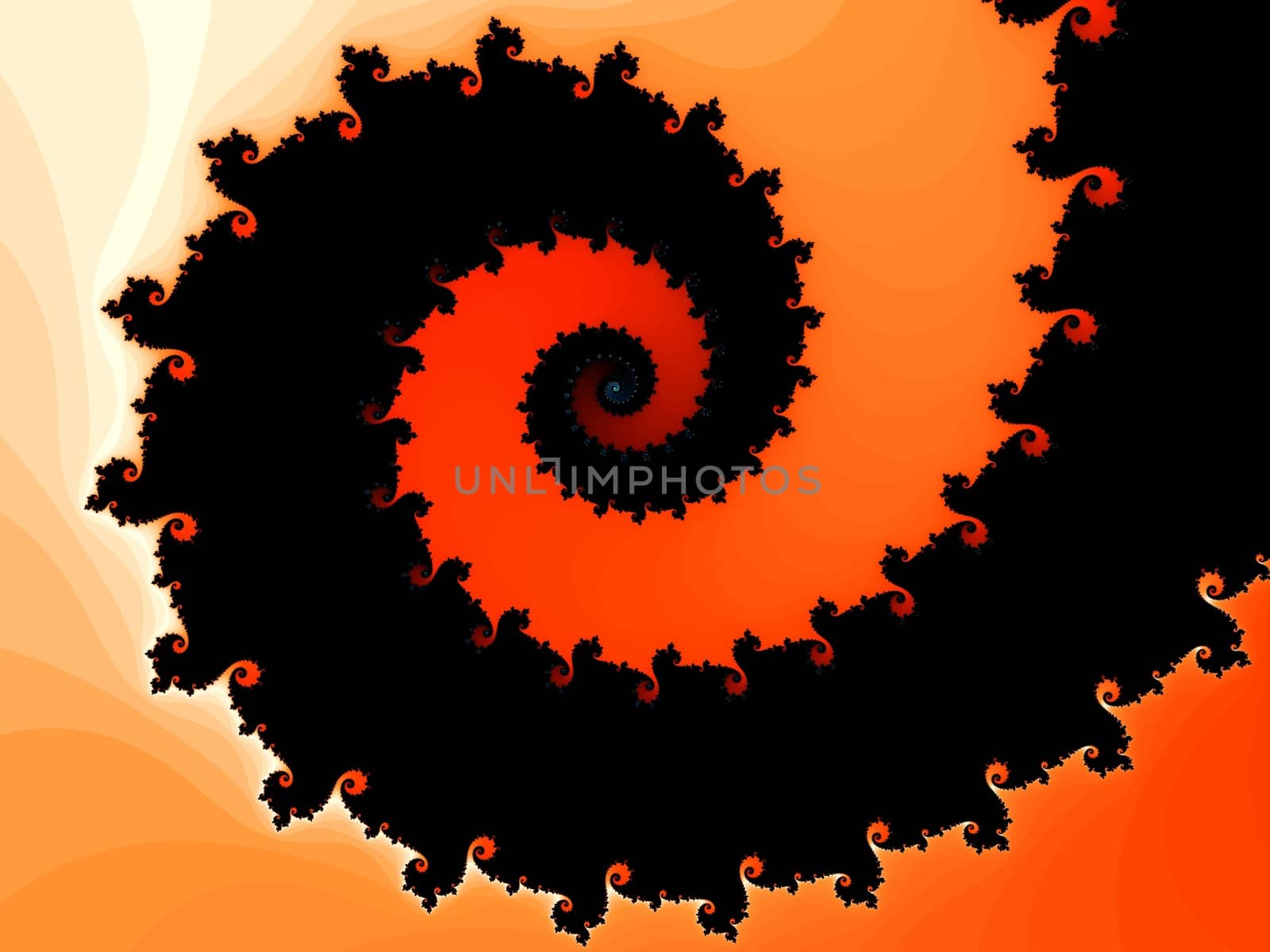 Digital computer graphic - abstract decorative fractal wwith spirals in a bright colors for design.