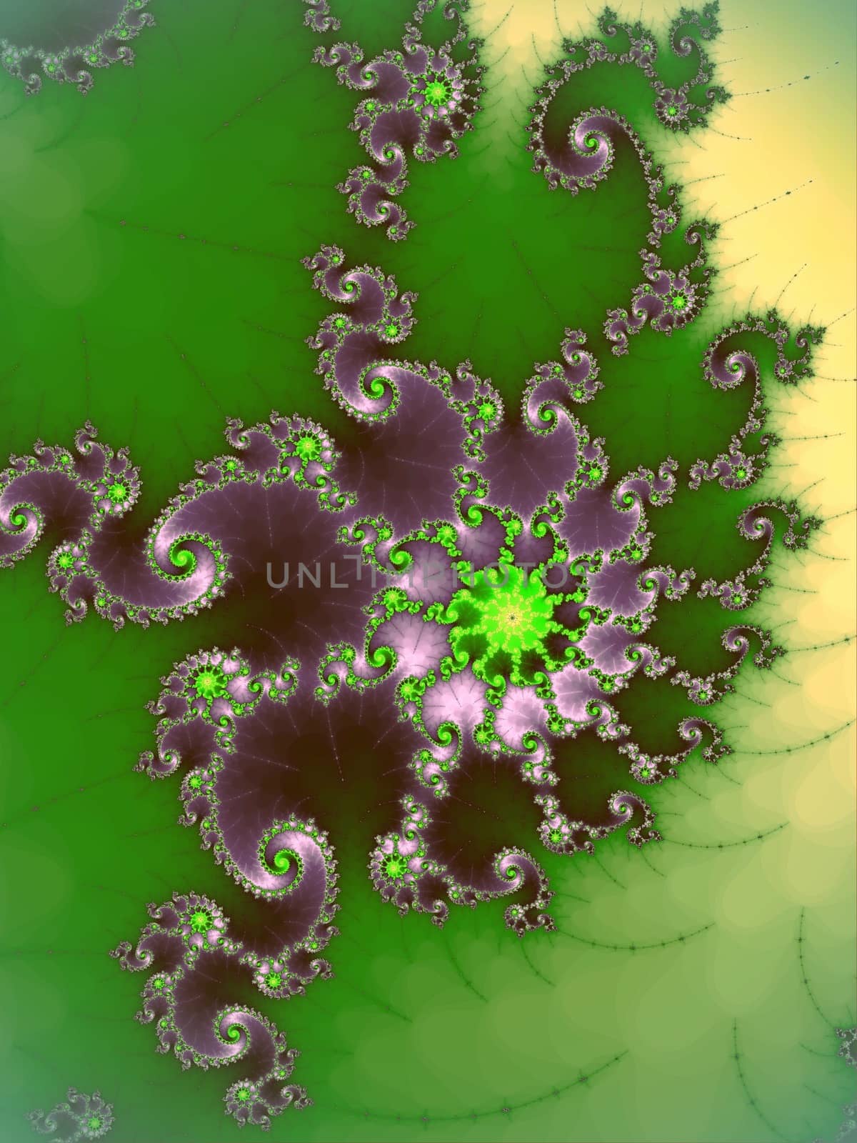 Digital computer graphic - abstract decorative fractal in a bright colors for design.