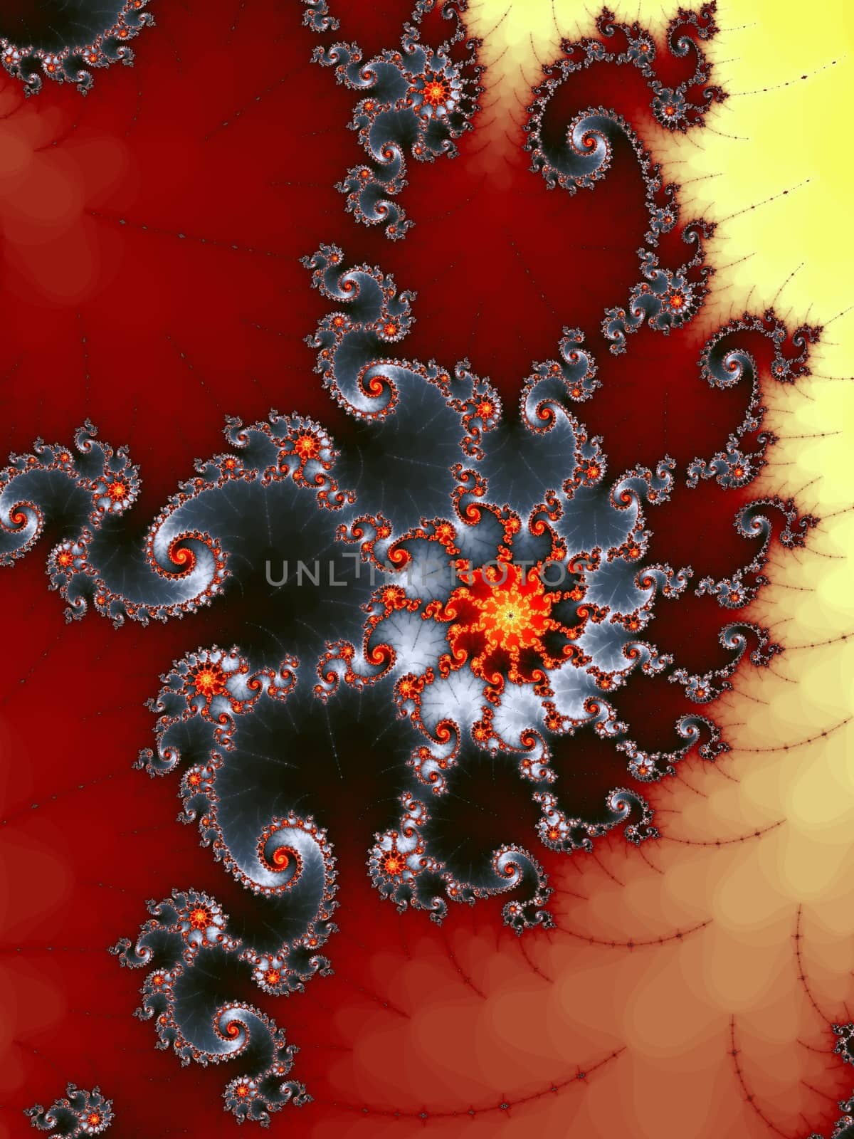 Digital computer graphic - abstract decorative fractal in a bright colors for design.