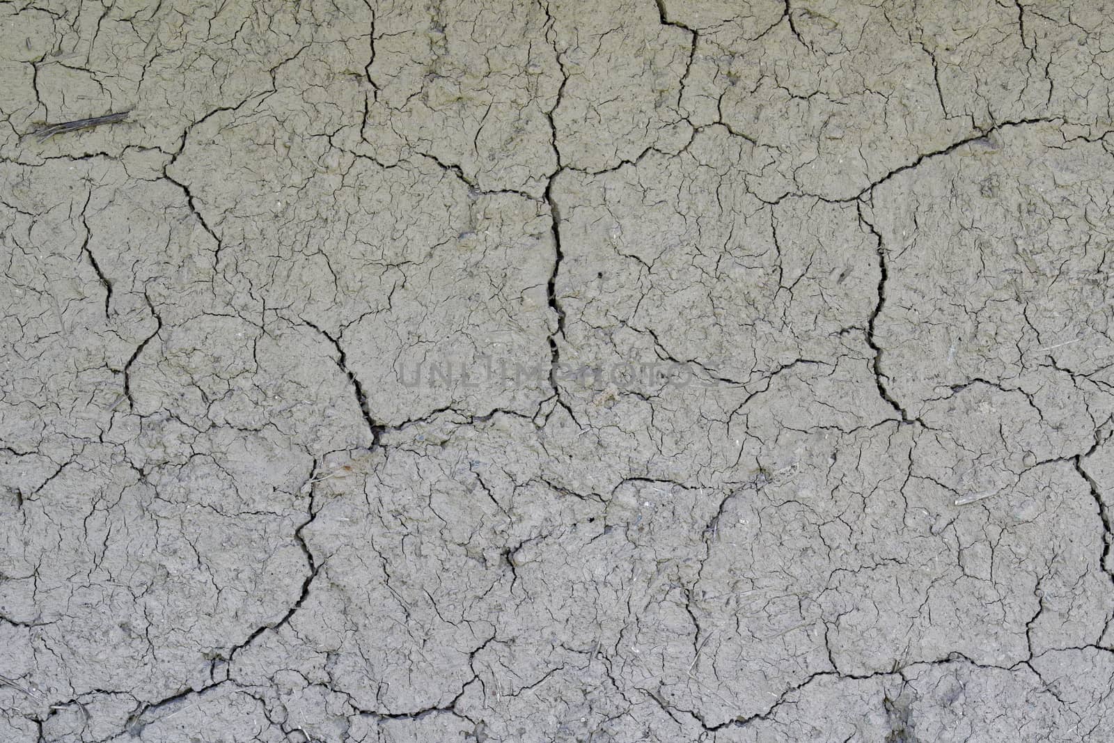 Drought, the ground cracks, no hot water, lack of moisture. Dried and cracked ground. Cracked surface, dry soil in arid areas.