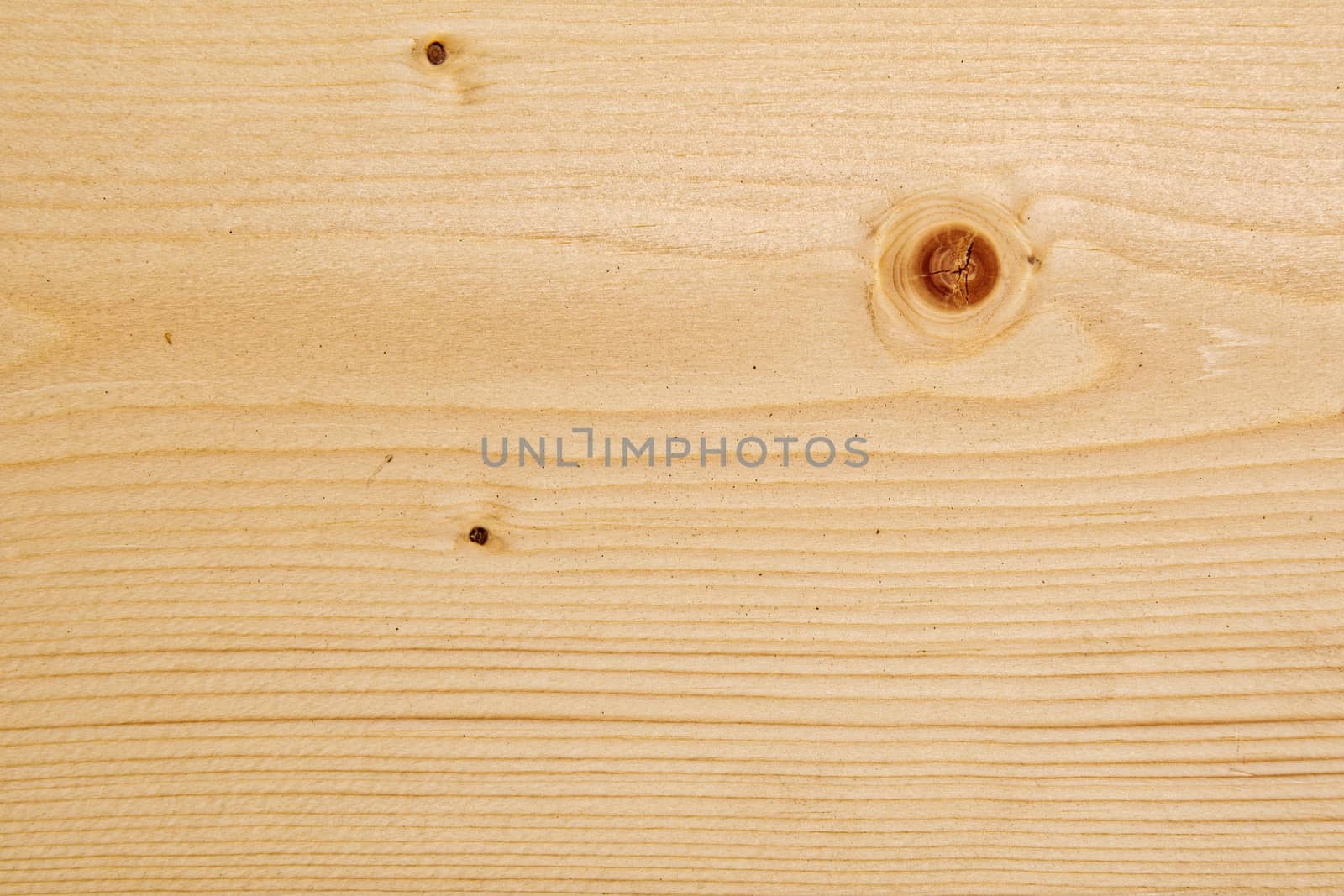 Wood texture with natural pattern. A fragment of a wooden panel