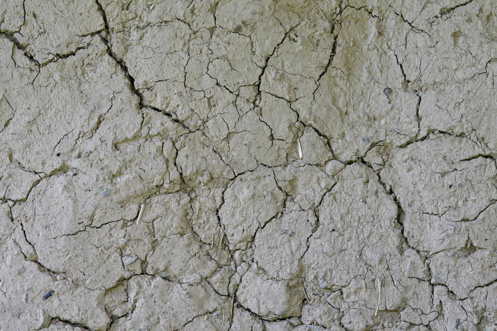 Drought, the ground cracks, no hot water, lack of moisture. Dried and cracked ground. Cracked surface, dry soil in arid areas.