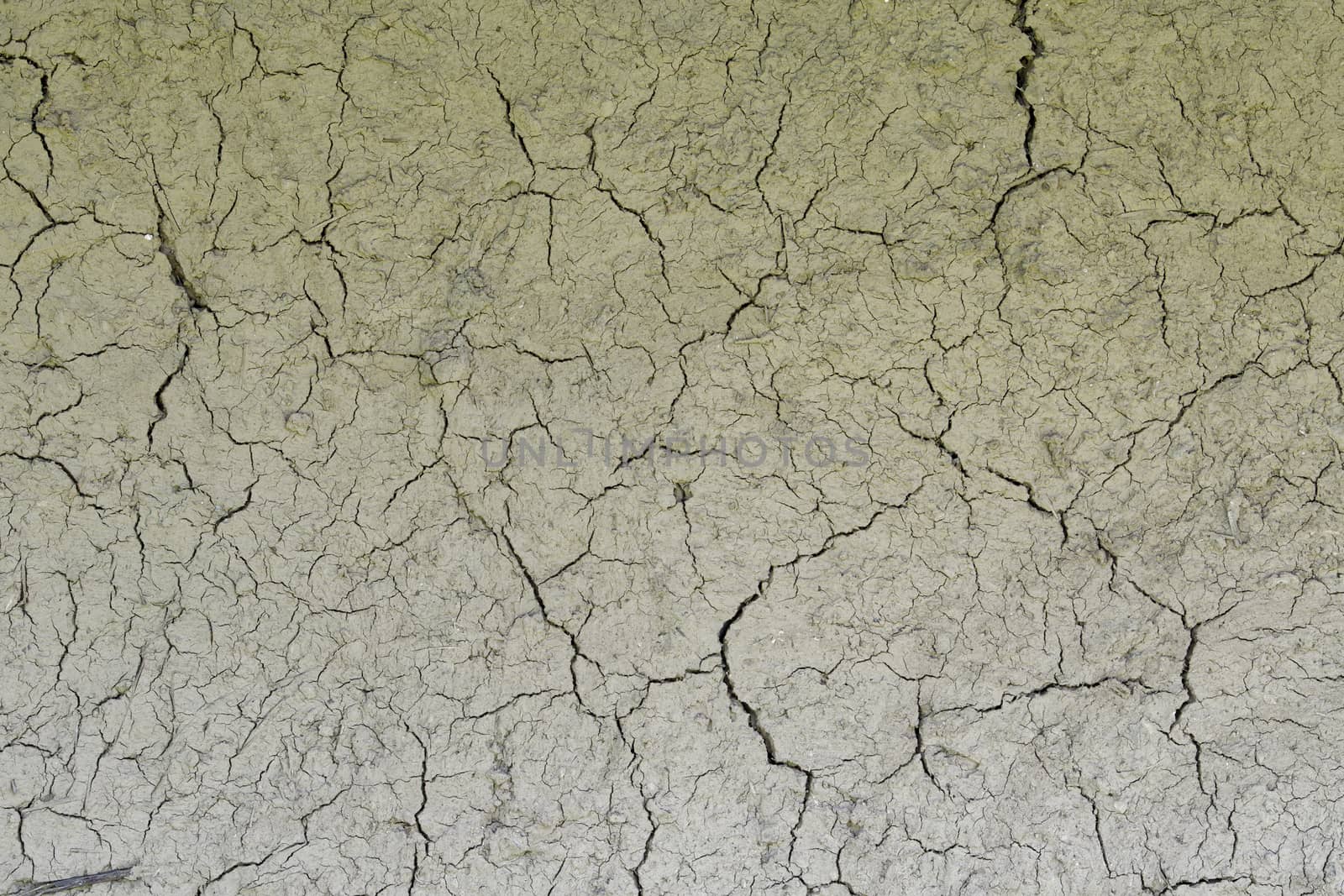 Drought, the ground cracks, no hot water, lack of moisture. Dried and cracked ground. Cracked surface, dry soil in arid areas.
