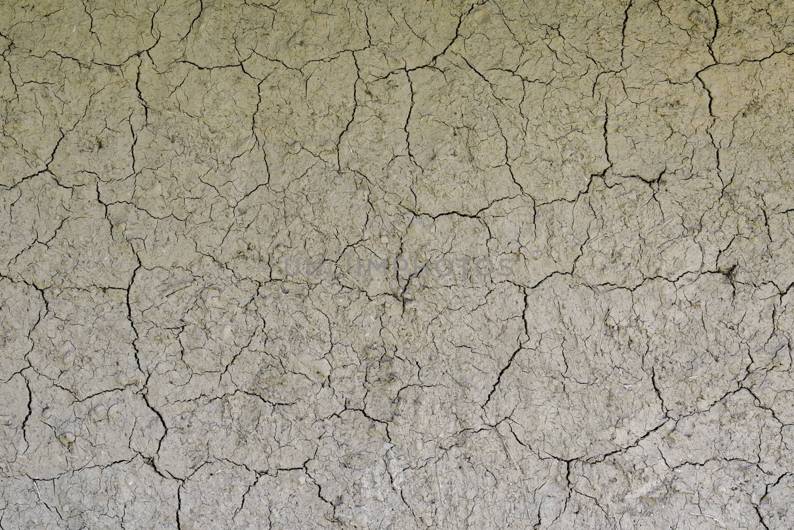 Drought, the ground cracks, no hot water, lack of moisture. Dried and cracked ground. Cracked surface, dry soil in arid areas.