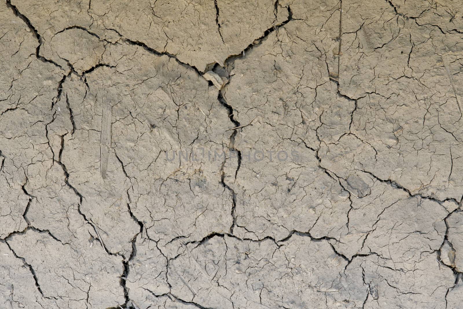 Drought, the ground cracks, no hot water, lack of moisture. Dried and cracked ground. Cracked surface, dry soil in arid areas.