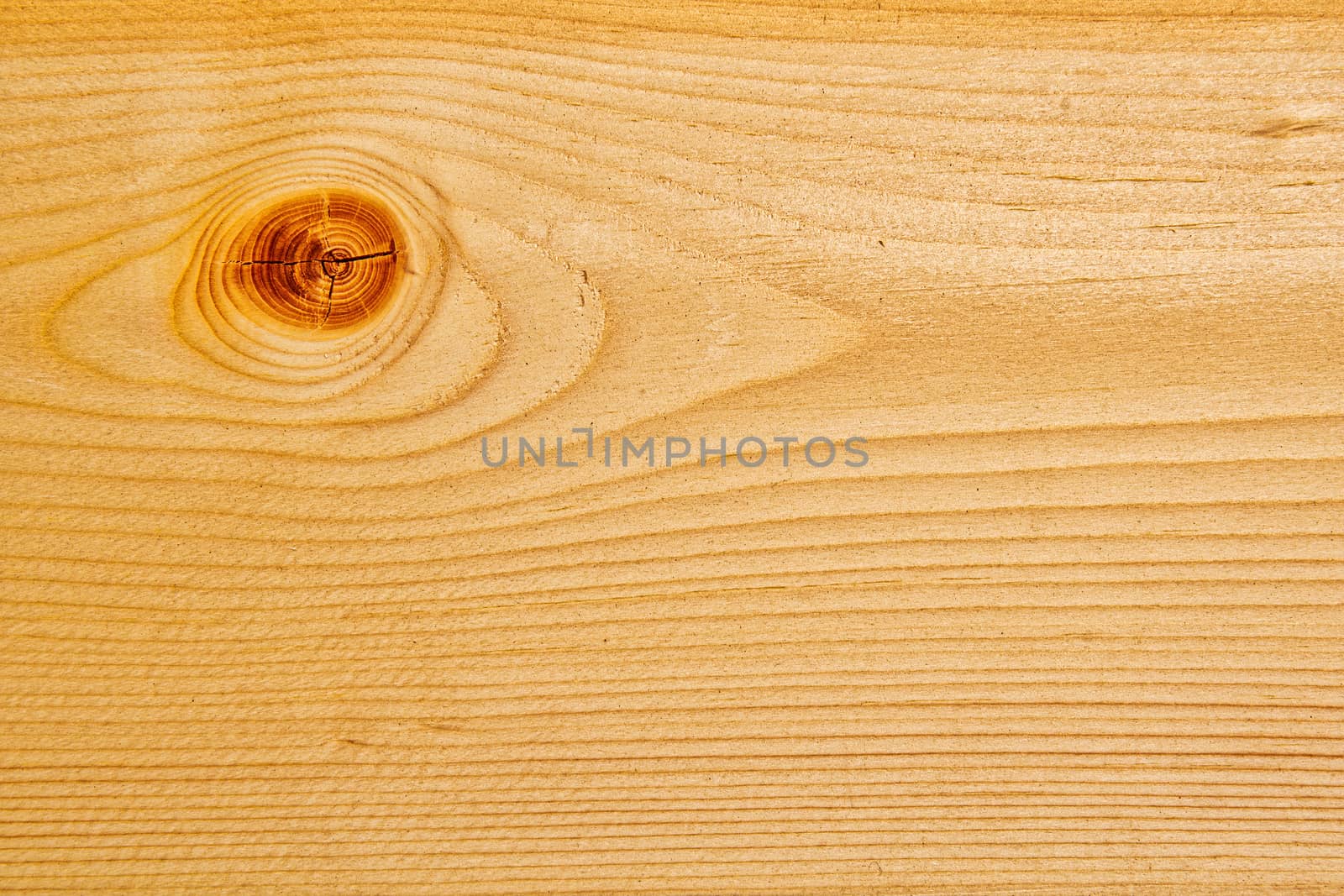 Wood texture with natural pattern. A fragment of a wooden panel