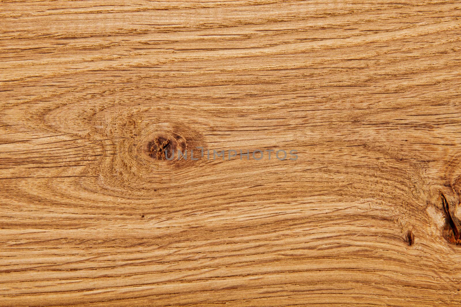 Wood texture with natural pattern. A fragment of a wooden panel