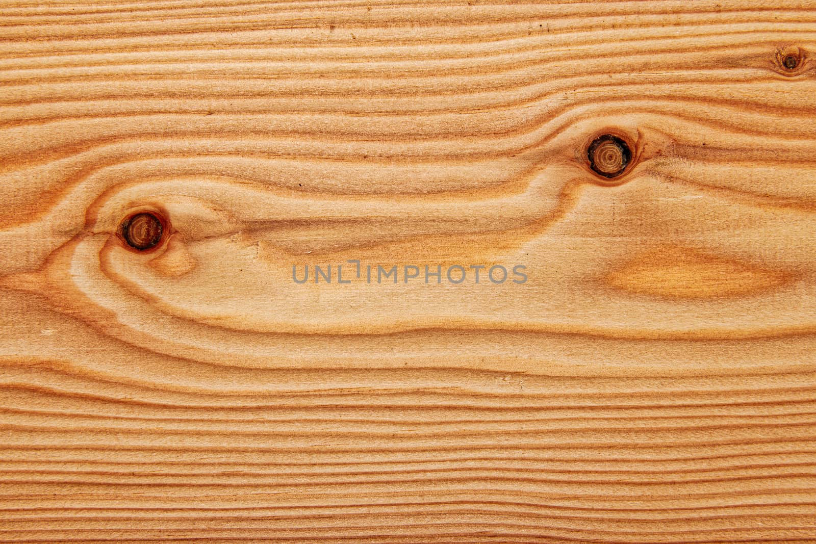 Wood texture with natural pattern. A fragment of a wooden panel