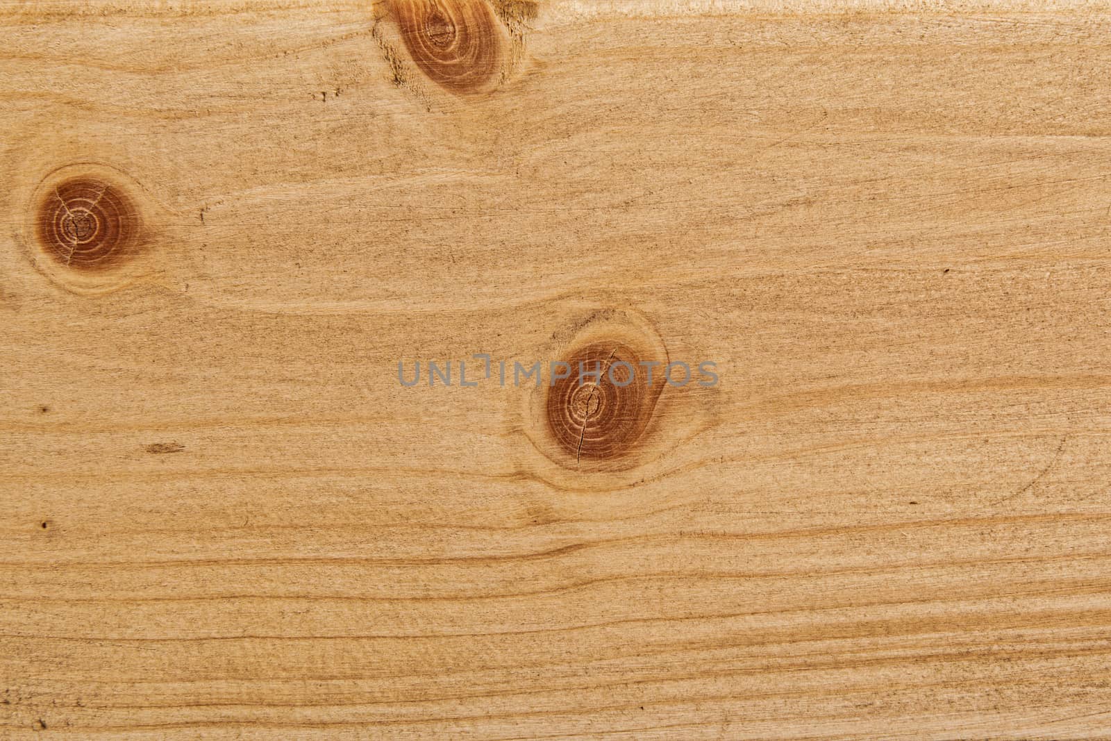 Wood texture with natural pattern. A fragment of a wooden panel