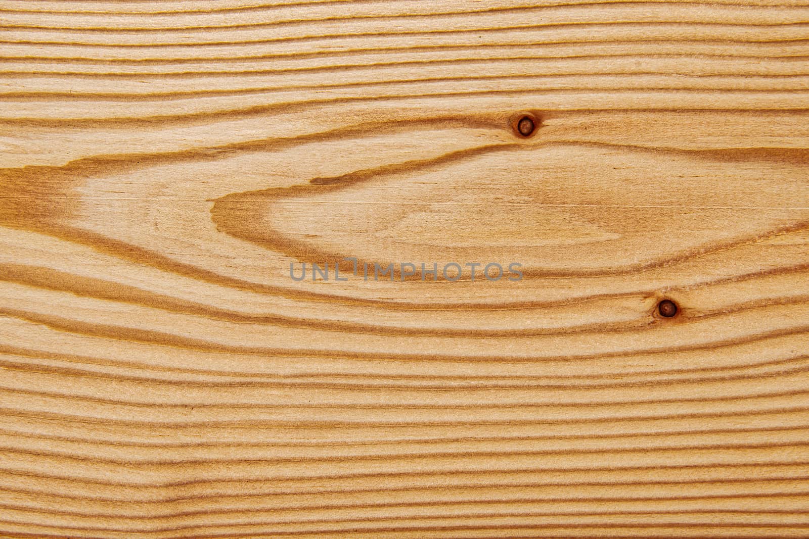 Wood texture with natural pattern. A fragment of a wooden panel